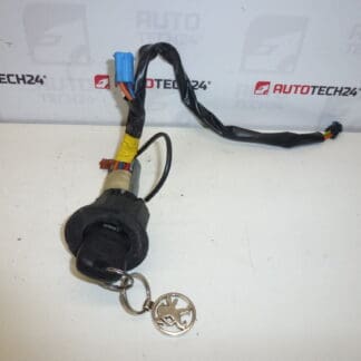 Switchbox + 1 nyckel Peugeot 206 4162Z1