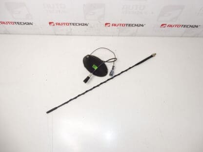 Antenn Citroën C2 C3 9653389980 6567W7