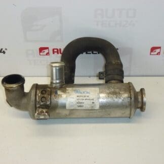 Avgaskylare 1.4 HDI Citroën Peugeot 9651902380 161844