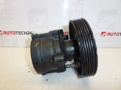 Servo Citroën Peugeot 1.6 HDI 9665709080 4007WL REPAS