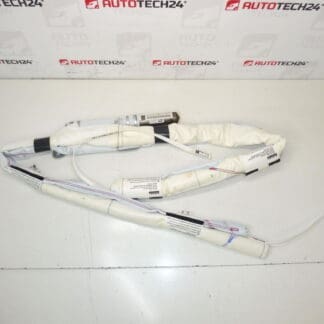 Citroën C3 Picasso 9803129780 Takkuddsida