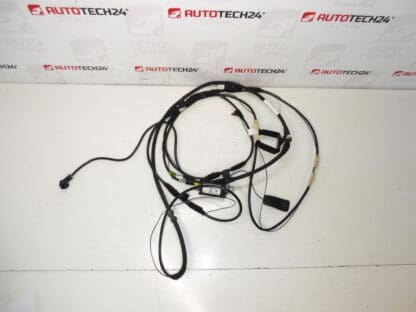 Antennkabel Citroën C8 Peugeot 807 1489134080 1494844080