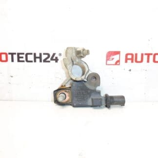 Citroën Peugeot 9666919780 Negativ polenhet