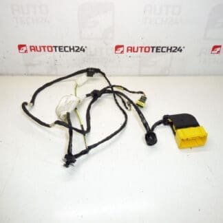 Peugeot 207 passagerarstolssele 6545GC